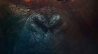 Kong-nuevo-poster-c_s