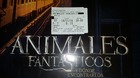Animales-fantasticos-y-donde-encontrarlos-mi-critica-y-mi-entrada-c_s