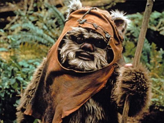 Ewoks: ¿Os gustaría volverlos a ver en alguna otra película de Star Wars?