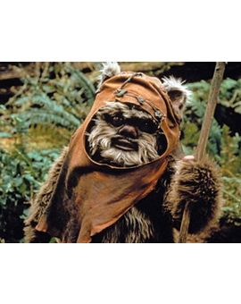 Ewoks: ¿Os gustaría volverlos a ver en alguna otra película de Star Wars?