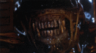 Alien-covenant-el-primer-trailer-ya-esta-listo-y-ha-encantado-a-quien-le-ha-visto-c_s