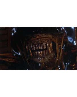 "Alien: Covenant": El primer tráiler ya está listo (y ha encantado a quién le ha visto)