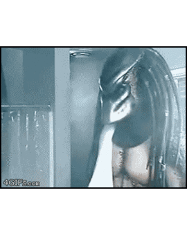 Humor: Alien Vs Predator "El Origen"