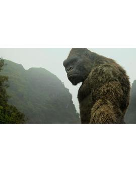 «La Tierra Hueca», la teoría de la conspiración en la que se apoya la última película de King Kong