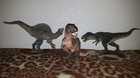 Mis-3-figuras-de-papo-por-el-momento-2-tiranosaurio-rex-y-1-spinosaurus-c_s