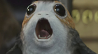 La-cancion-de-star-wars-cantada-en-porg-c_s