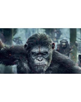 Se prepara una nueva entrega de El Planeta de Los Simios ¡Con Andy Serkis! (SPOILERS)