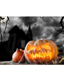 Halloween: Si tuvieras que recomendar una sola película para ver ese día ¿Cual sería?
