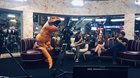 Bayona-siendo-entrevistado-antes-del-trailer-de-jurassic-world-el-reino-caido-si-si-bayona-el-des-disfraz-c_s