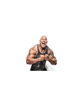 Dwayne Johnson (The Rock): Ya que hoy estrena El Rascacielos. ¿Cual es tu película favorita de este actor?