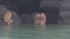 Alucinan-con-unas-misterioras-criaturas-tipo-ewoks-star-wars-en-una-playa-de-tailandia-c_s
