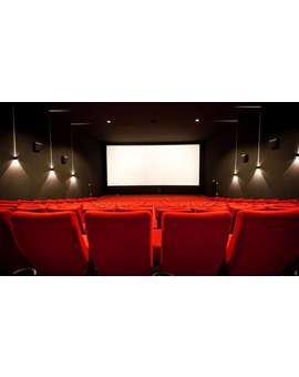 ¿Cuantas veces habéis ido al cine este año?