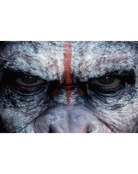 Digibook de La Guerra del Planeta de los Simios para el 26 de Junio de 2019