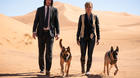 Jon-wick-3-asi-se-entreno-a-los-perros-c_s