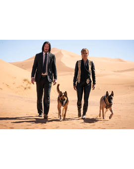 Jon Wick 3. Así se entrenó a los perros