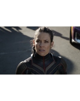 Evangeline Lilly ya no aparecería en Ant-Man 3 por no respetar cuarentena