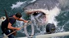 45-anos-de-tiburon-las-redes-recuerdan-el-trauma-que-les-genero-spielberg-c_s