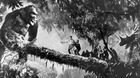 9.6_fantasy_slider_kingkong_2-c_s