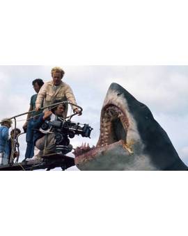La magia del cine en una sola imagen. [Tiburón]