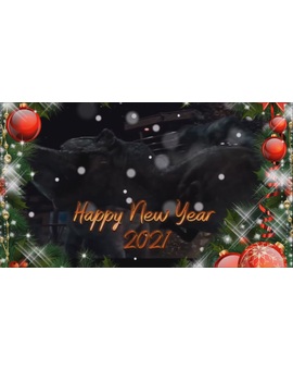 ¡¡¡FELIZ AÑO NUEVO 2021!!!.