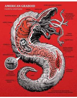 Poster. Anatomía de un Graboide de Temblores