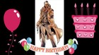 Ayer-2-de-agosto-tambien-cumplio-anos-nuestro-companero-ocelot-c_s
