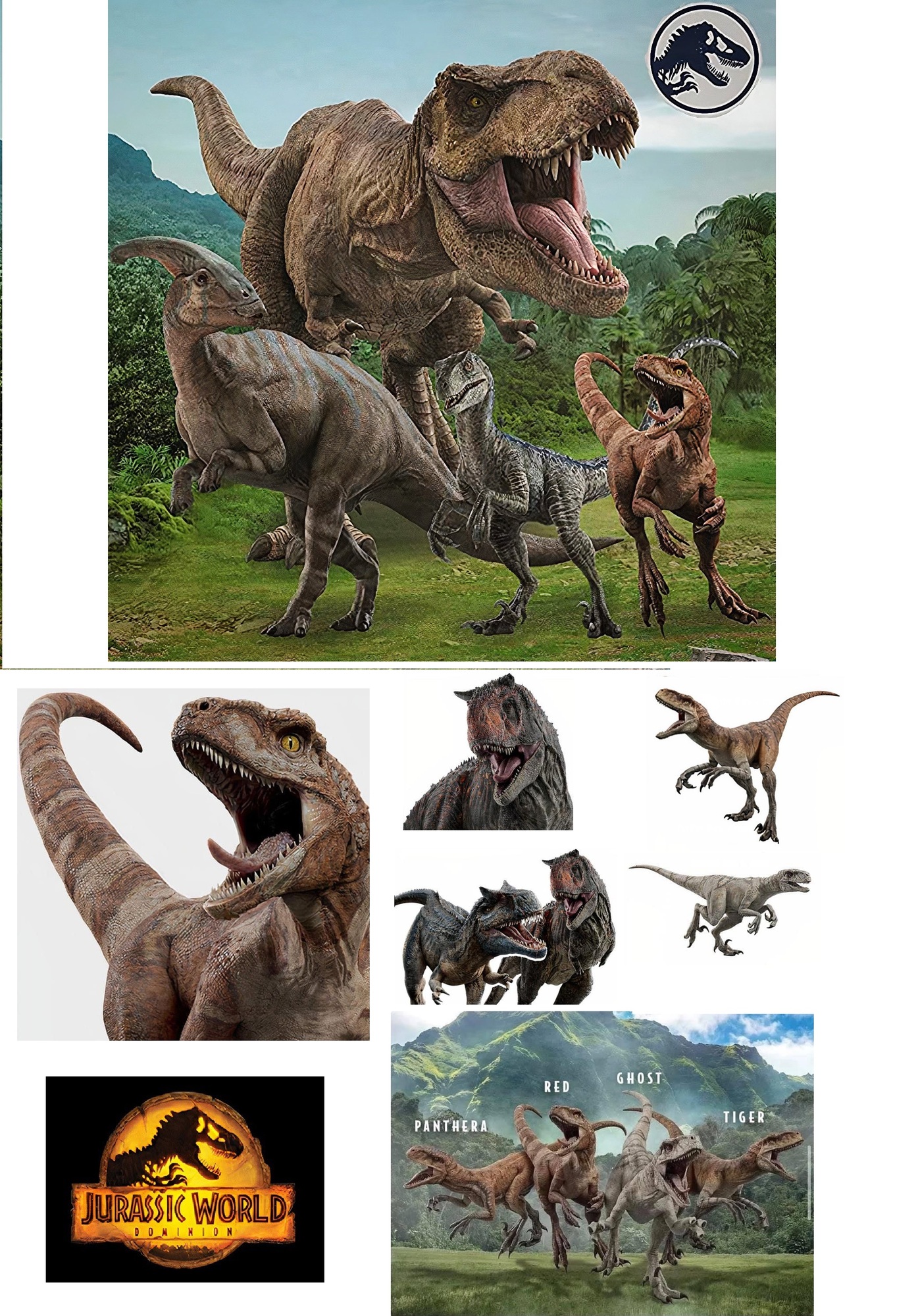 Jurassic World Dominion. Primeras imágenes oficiales de los nuevos  dinosaurios (FOTO CON SPOILERS)