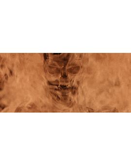 La productora de la saga Terminator dice no saber hacia dónde se dirige la franquicia