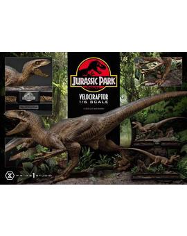Jurassic Park: Prime 1 Studio no repara en gastos y presenta su espectacular velociraptor