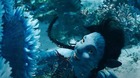 Conseguida-avatar-2-que-las-distribuidoras-vuelvan-a-editar-peliculas-en-3d-c_s