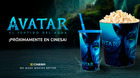 Menu-avatar-en-cinesa-c_s