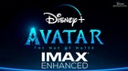 Avatar-el-sentido-del-a-estara-en-disneyplus-con-el-formato-imax-enhanced-y-el-sonido-imax-signat-c_s