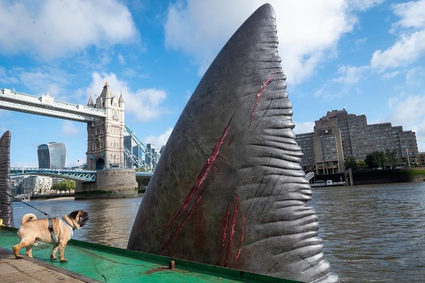 Megalodón 2 llega a Londres...