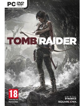 TOMB RAIDER: POSTER DEL JUEGO