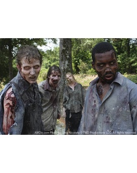 Zombies Velocistas vs Zombies Lentos ¿Cuales son vuestros preferidos?