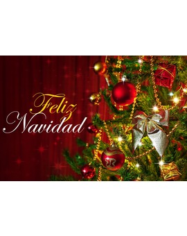 ¡¡¡¡FELIZ NAVIDAD PARA TODOS/AS!!!!