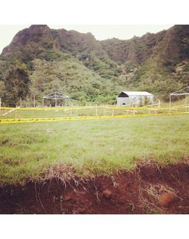 JURASSIC WORLD: Construcción decodaros en Hawaii