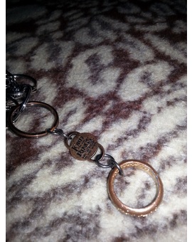 Mi antiguo llavero ANILLO UNICO 1/3