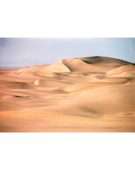 Peliculas Que Transcurren en el Desierto