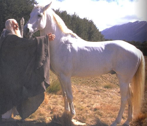 MUERE SOMBRAGRIS: EL CABALLO DE GANDALF EN LAS DOS TORRES