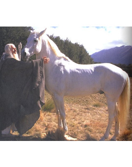 MUERE SOMBRAGRIS: EL CABALLO DE GANDALF EN LAS DOS TORRES