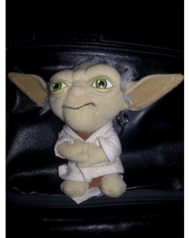 YODA SE HA COLADO EN MI COCHE