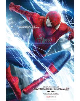 Hoy toca cazar una araña