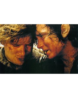 Frodo VS Sam ¿Cual es tu personaje Favorito?