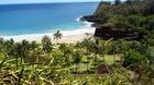 La-semana-que-viene-toca-rodaje-de-jurassic-world-en-el-botanic-garden-de-kauai-c_s