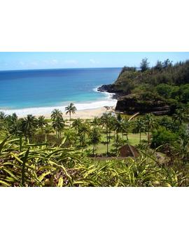 La semana que viene toca rodaje de JURASSIC WORLD en el  Botanic Garden de Kauai :