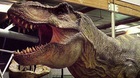 Jurassic-world-el-rex-ruge-de-nuevo-c_s