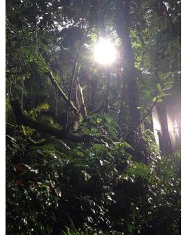 Jurassic World: Nueva foto de producción