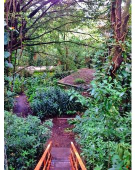 Otro escenario de jurassic world