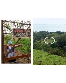 Practicamente confirmado: ¡¡¡Veremos los restos del antiguo Parque Jurasico en Jurassic World!!!